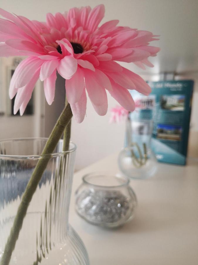 마드리드 Apartamento Rosa Puerta Del Sol 아파트 외부 사진